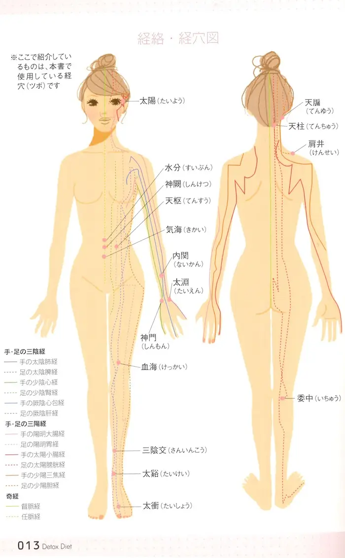 經絡図イラスト