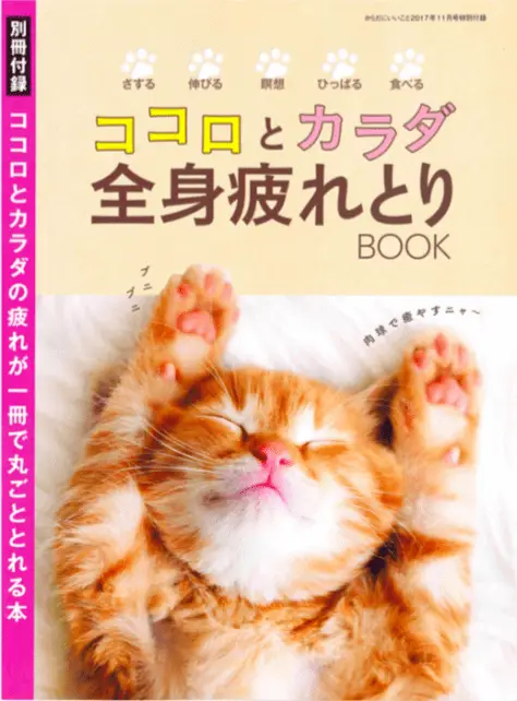 からだにいいこと11月号　特別付録「メンタルケアマッサージ」を監修しました