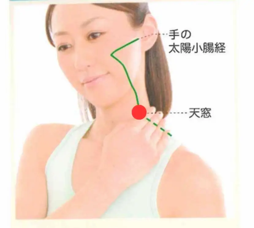 胸鎖乳突筋に効果的なツボー天窓