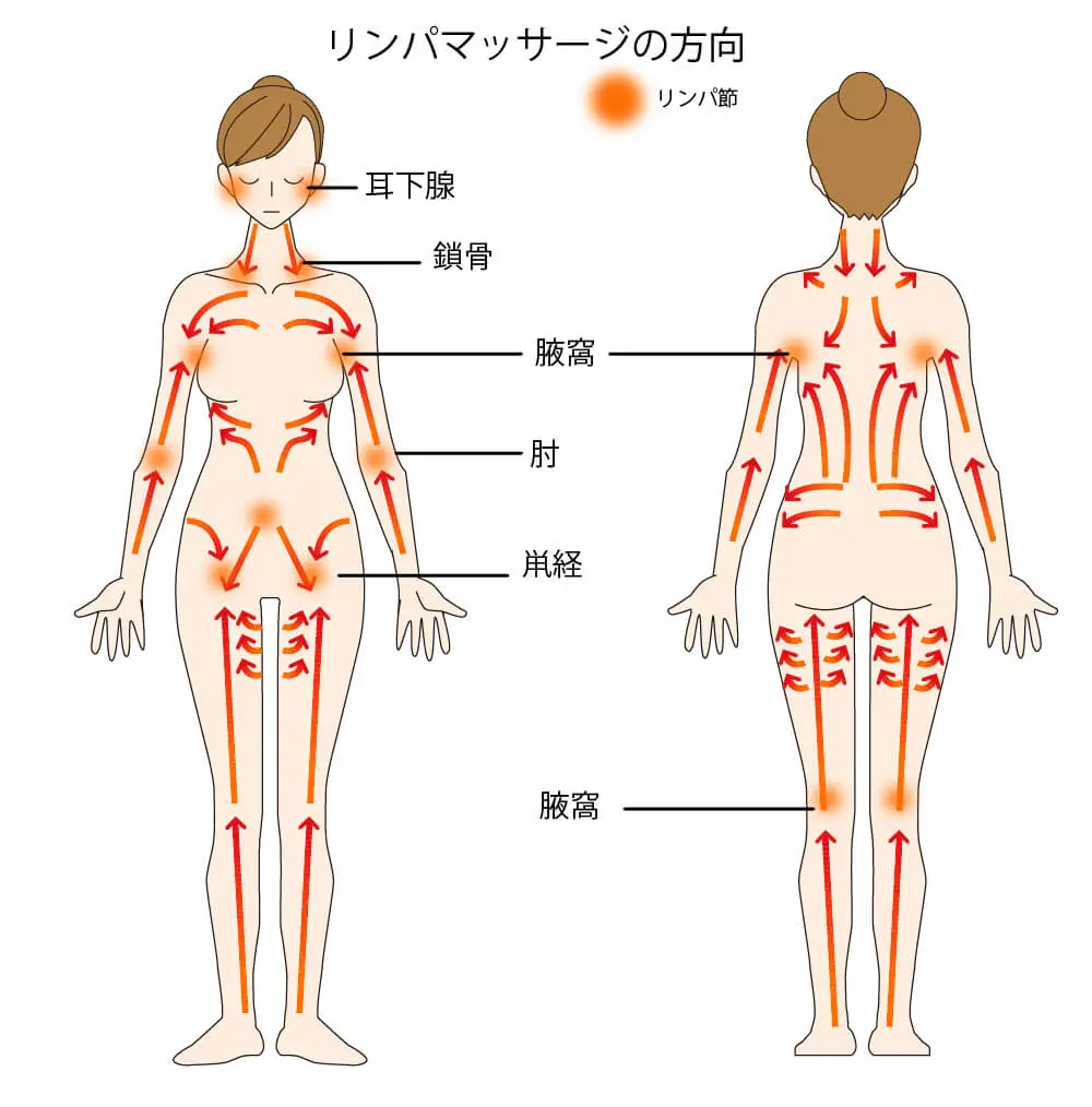 リンパマッサージを行う方向をまとめたイラスト