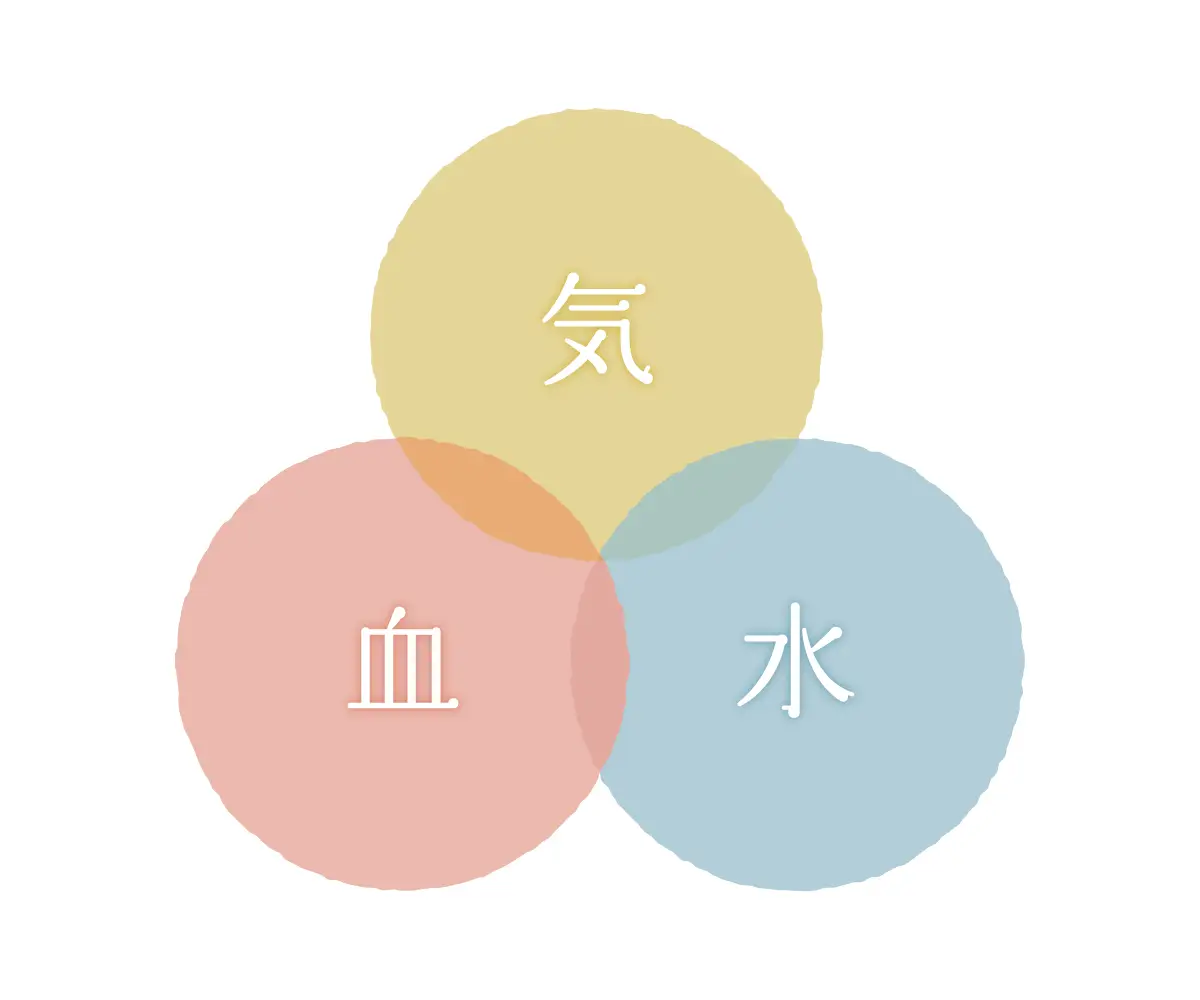 東洋医学の気血水のイラスト