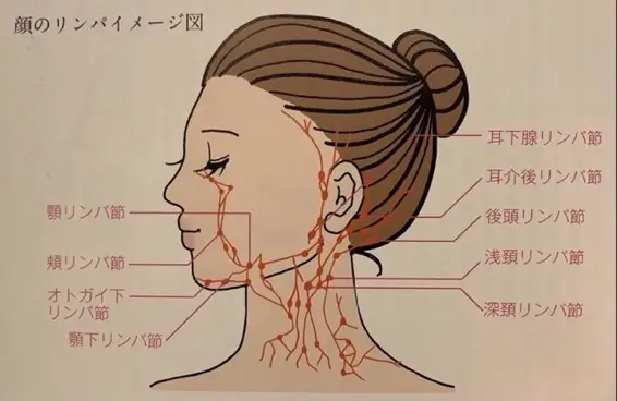 耳 の 下 リンパ腫 れる