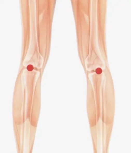 膝裏が痛い時に効果のある膝裏のツボ：委中（いちゅう）