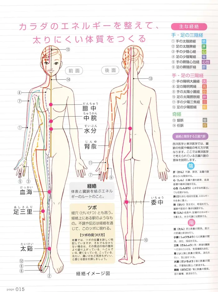 經絡図、イラスト