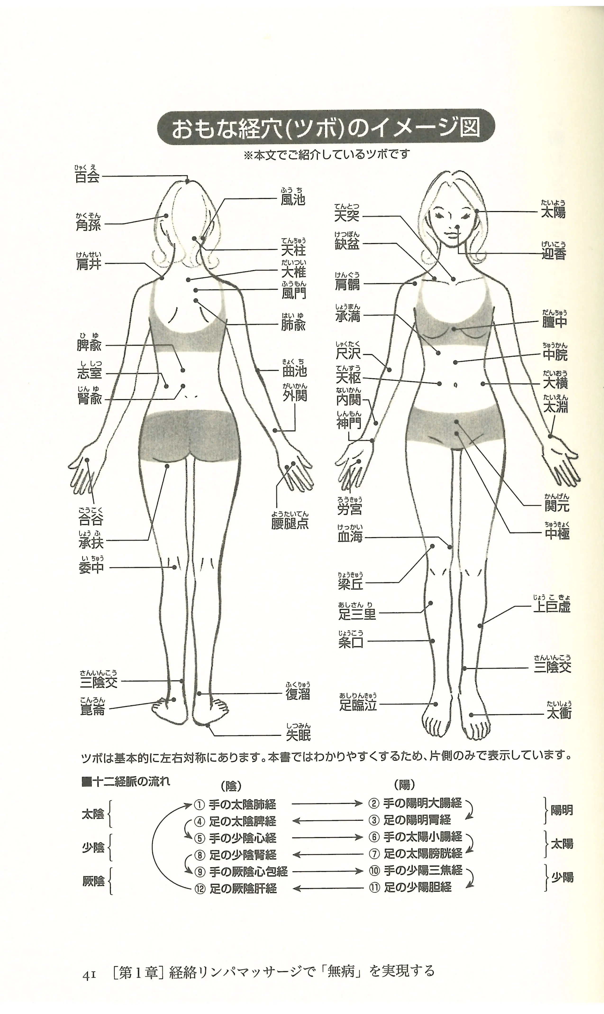 ツボ 無病なカラダの作り方 内容