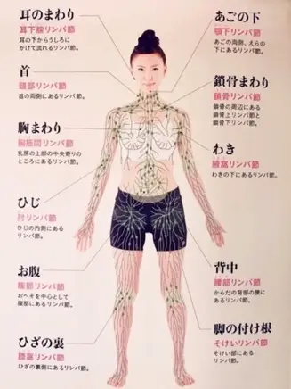 身体中にあるリンパ節の図