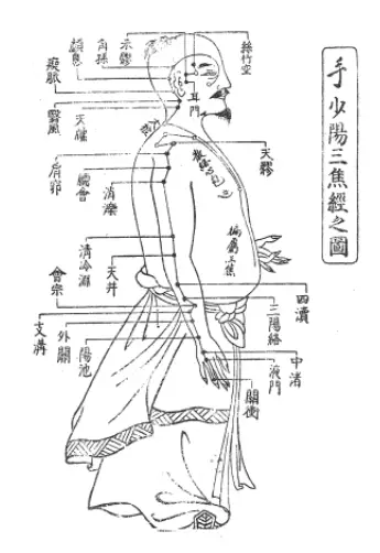 経絡図・手少陽三焦経の図