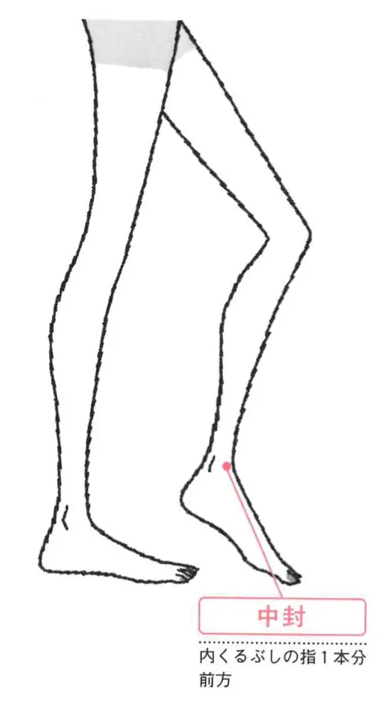 中封穴のイラスト