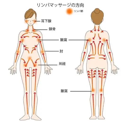 全身マッサージをする為のマッサージをする方向