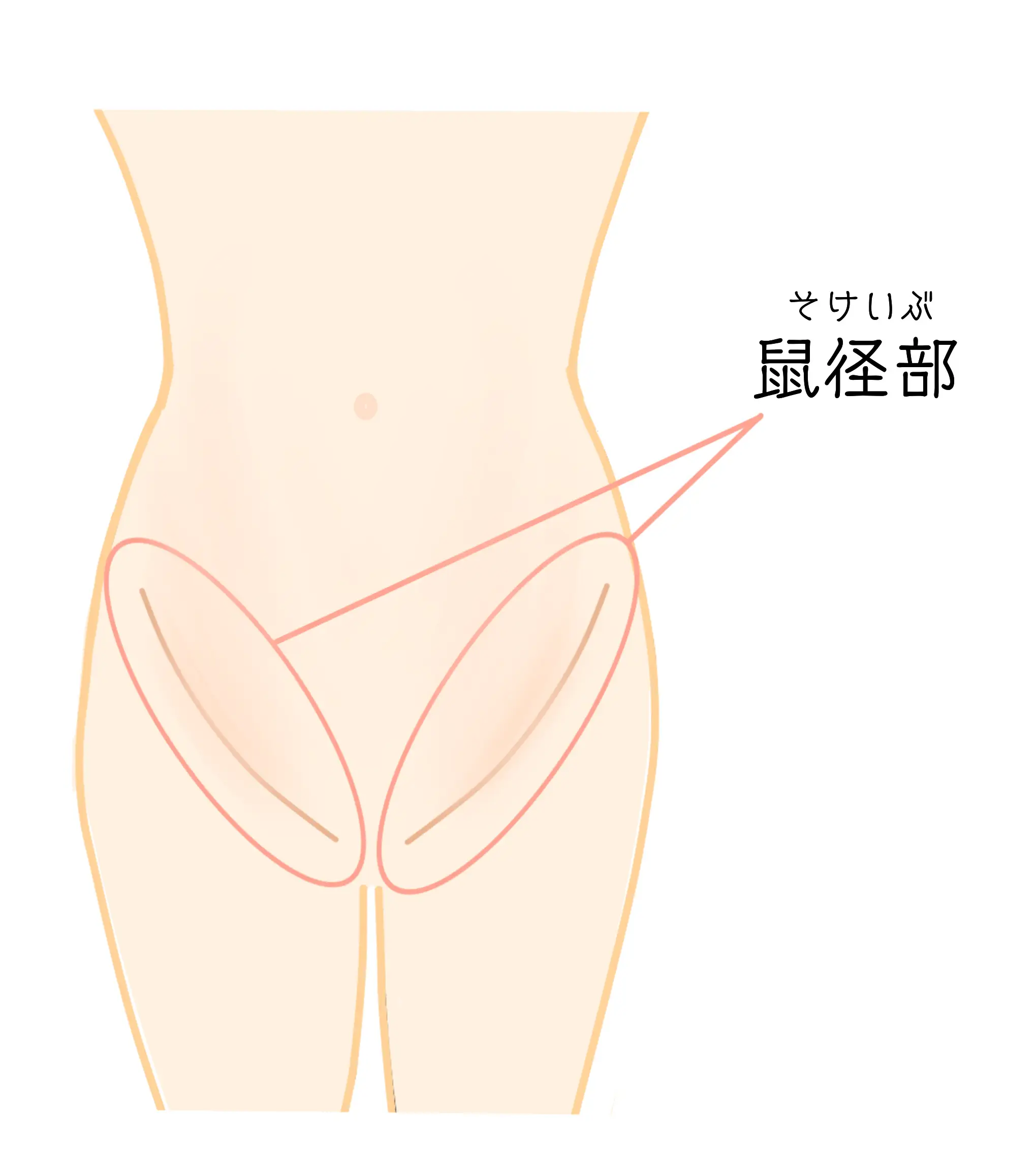 鼠径部リンパマッサージで むくみのない キレイな脚を目指す コラム 銀座ナチュラルタイム 銀座駅から徒歩1分の極上リンパマッサージ 鼠径部リンパマッサージで むくみのない キレイな脚を目指す コラム 銀座ナチュラルタイム 銀座駅から徒歩1分の極上リンパマッサージ