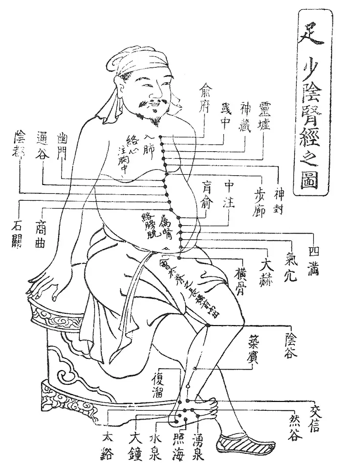 腎経の経絡図